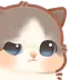 9cat Discord Emoji