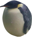 Greg Discord emoji