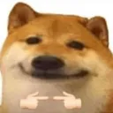 ewe