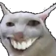 Cat Smile Catsmile Discord Emoji