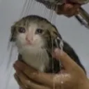 mentalbreakdown