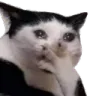 vainu