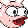 raerPog