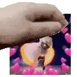 pat