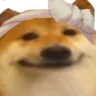 dog_UwU
