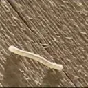 inchworm inchworm