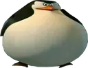 skipper