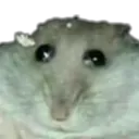 sadrat3