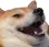 dogeKek