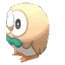 rowletspin