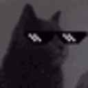 CH_thugcatvibe