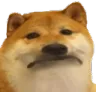 scp393
