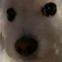 BennyStare