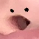 MyFuckingNose