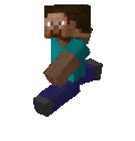 steve_goes