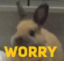 CB_worry CB_worry