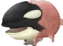 BabaWhale