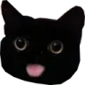 kitter4 kitter4