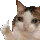 38a 38a