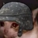 armycat