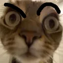 tb_catsus