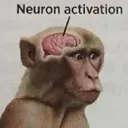 neuronactivation