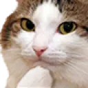 miauhmm