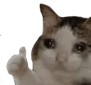pngaaa
