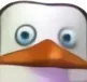 PogO