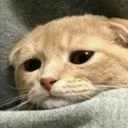 sad