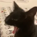 AAAAAAAAAAA