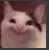 HappyCat