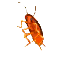 zdiscobug Discord emoji