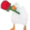 GanzoRosa_XP Discord emoji