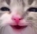 Happy1_XP Discord emoji