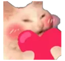 CattoLove