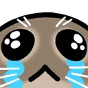 cry cry