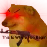ThisIsWhereFunBegins