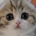 C_cute_eyes