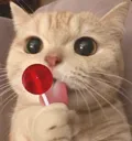 KittyPop Discord Emoji