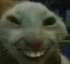 lo