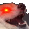 dogge_trigger