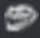 troleadorCara
