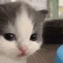 siya_moti_hehe
