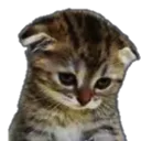 sadkady Discord Emoji