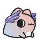 kokocatstare