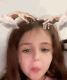 zzz_thory_horrnyy