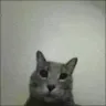 fuck_you fuck_you