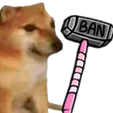 Ficoo_ban