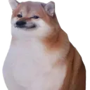 shoob